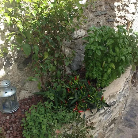 דירה Paradiset Red Nest In *