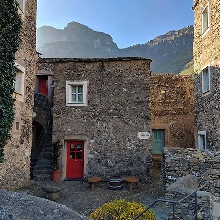Paradiset Red Nest In Colletta